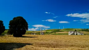 Golden wheat field under blue summer sky with clouds