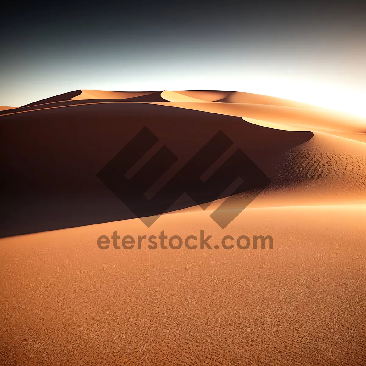 Picture of Golden Sands: Scenic Desert Dunes Under Sunlit Sky