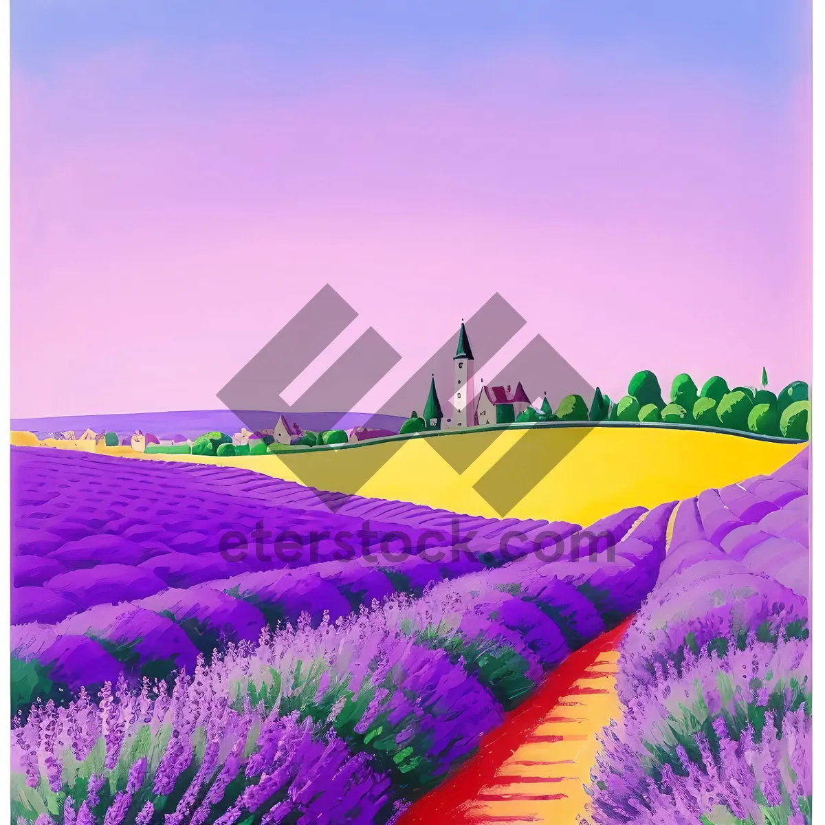 Picture of Colorful lavender field in the countryside.