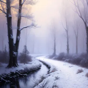 Winter Wonderland: Serene Forest Landscape with Snow-Covered Trees