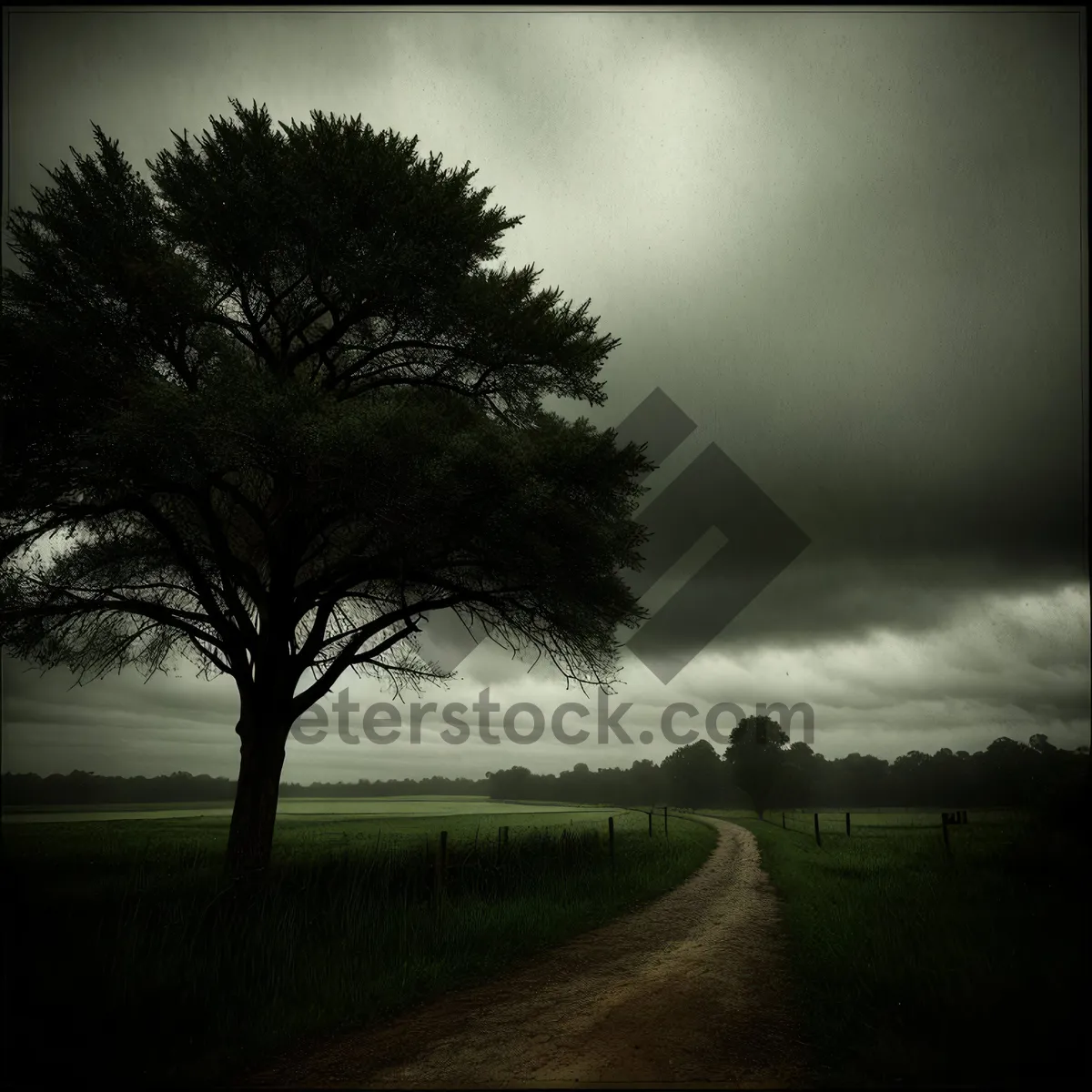 Picture of Golden Skies and Rolling Meadows