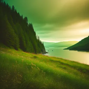 Vibrant Rural Sunrise over Rolling Green Fields