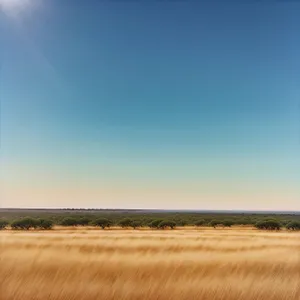 Vibrant Autumn Landscape with Rolling Fields