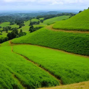 Serene Summer Landscape with Rolling Hills and Sunny Skies