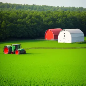 Rural Landscape with Barn and Green Meadow