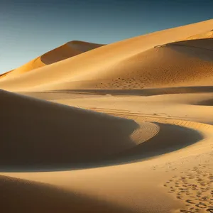 Sunny Desert Dunes: A Scorching Summer Adventure.