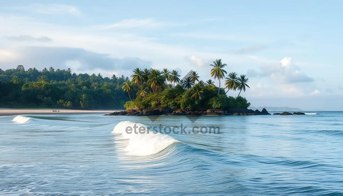 Picture of Tropical beach paradise under a cloudless sky.