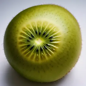 Fresh Kiwi Fruit Slice - Juicy, Vitamin-Rich Snack