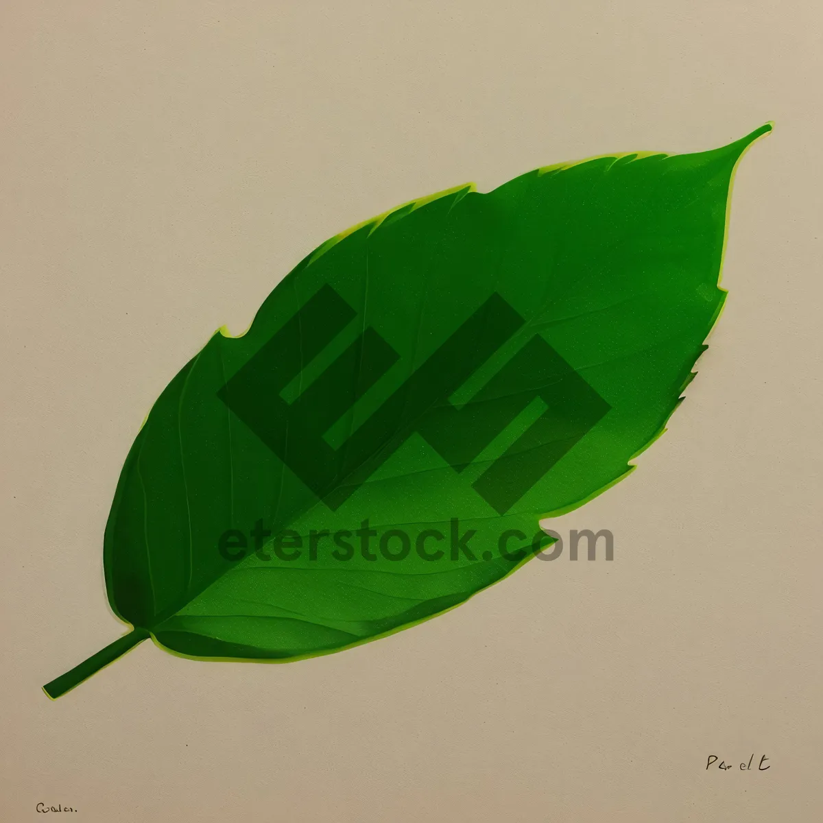 Picture of Summer Garden Quill Pen Leaf Close-Up