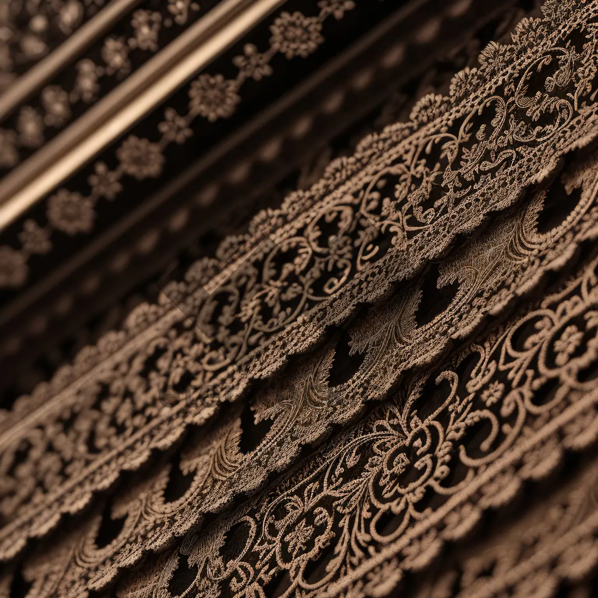 Picture of Textured Lace Pattern Zipper Design on Net Fabric