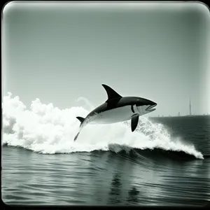 Majestic Marine Bird Soaring Above the Ocean