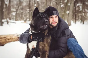 Smiling man playing with dog in snowy winter landscape