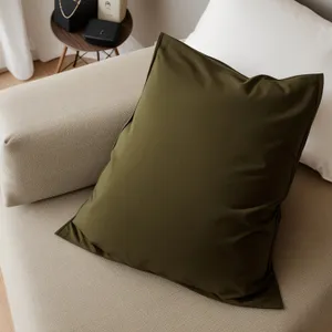 Cozy Cushion: A stylish addition to any room.