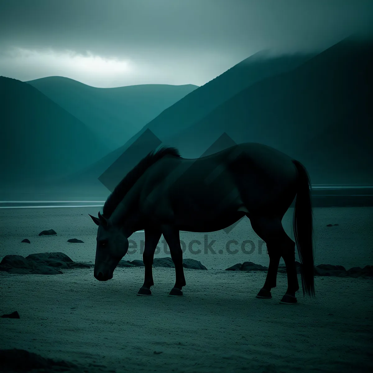 Picture of Brown Stallion Grazing in Meadow