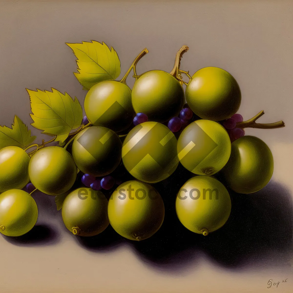 Picture of Juicy Grape Bunches - Freshly Picked and Organic