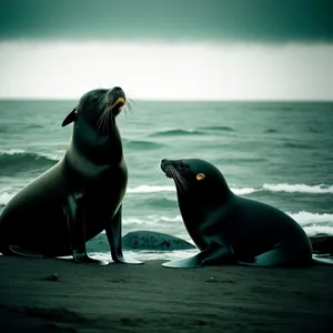 Playful Arctic Seal Swimming in Ocean