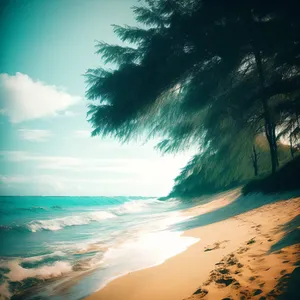 Serenity by the Shore.