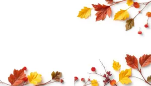 Floral Autumn Leaf Border Design Wallpaper