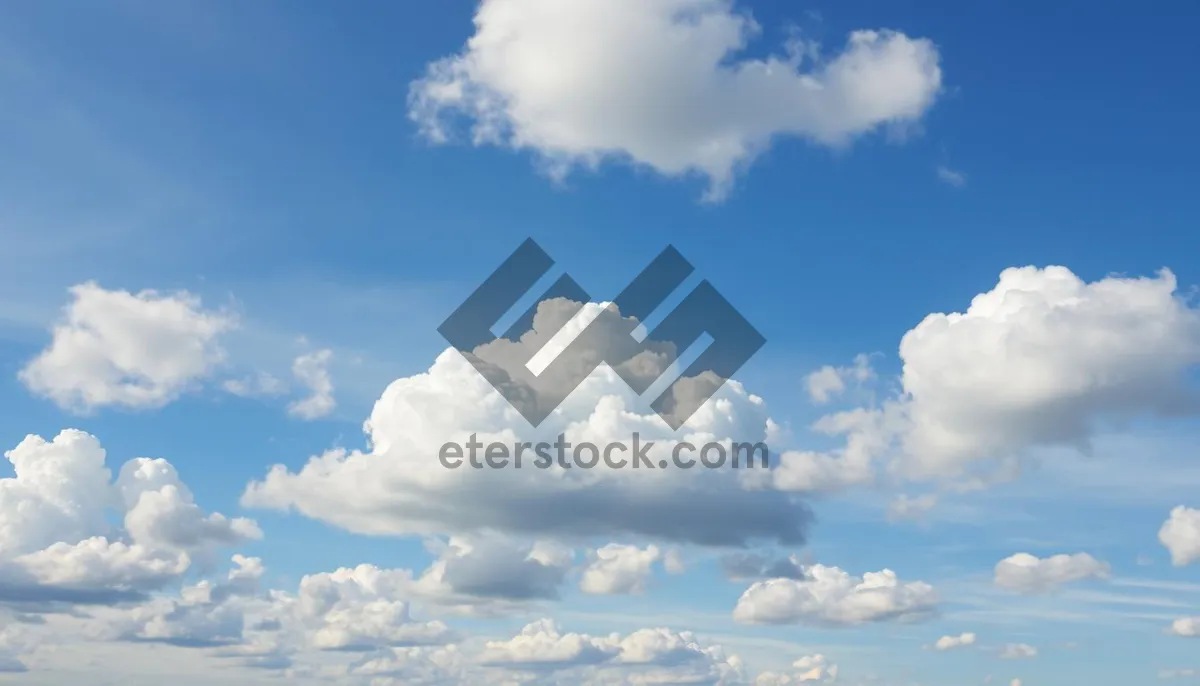 Picture of Bright sunny summer landscape with fluffy clouds and clear skies.