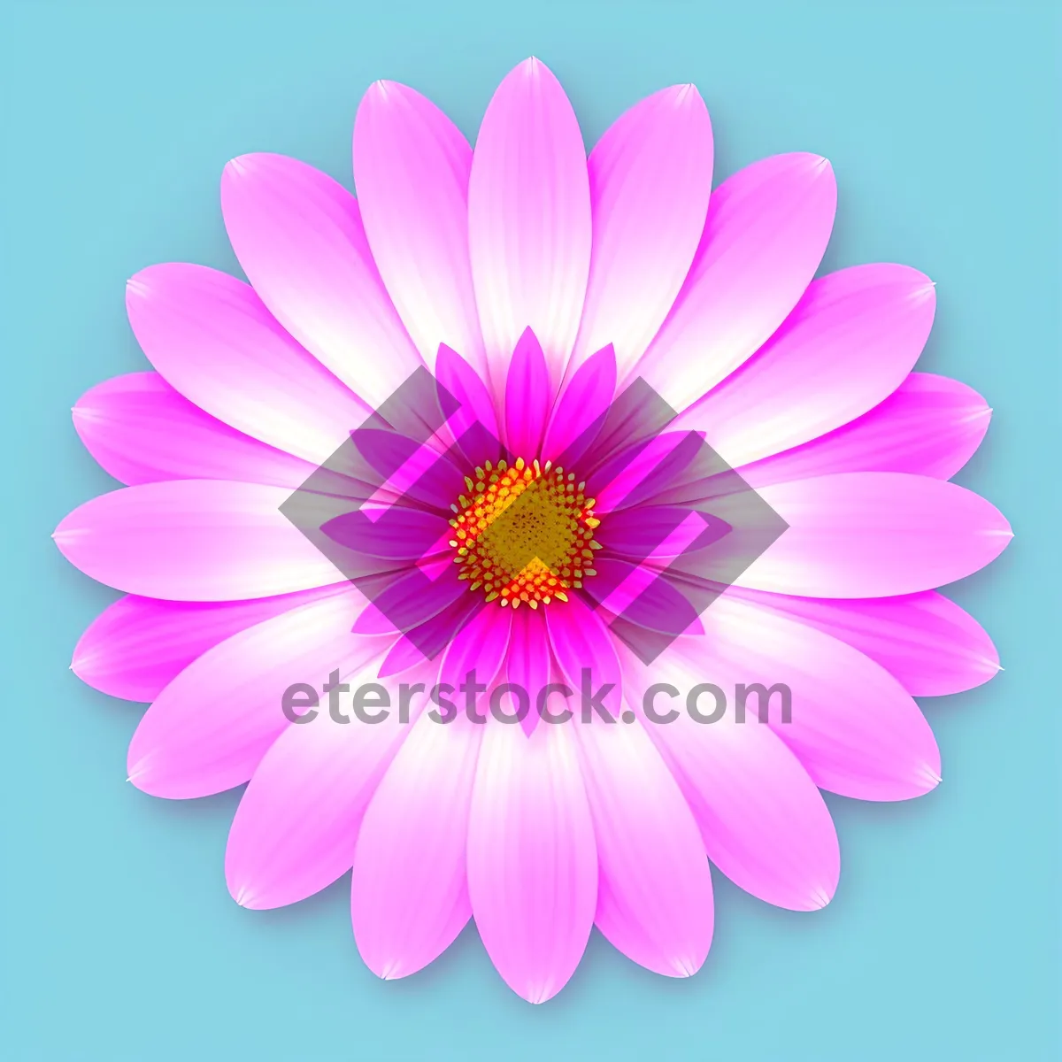 Picture of Pink Lotus Blossom - Vivid Floral Elegance for Summer Gardens