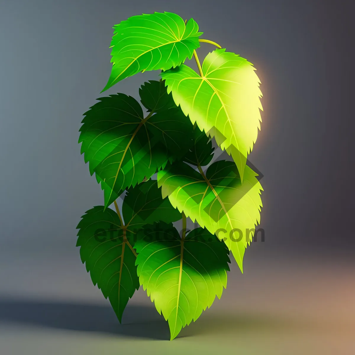 Picture of Vibrant Foliage in Sunlit Forest