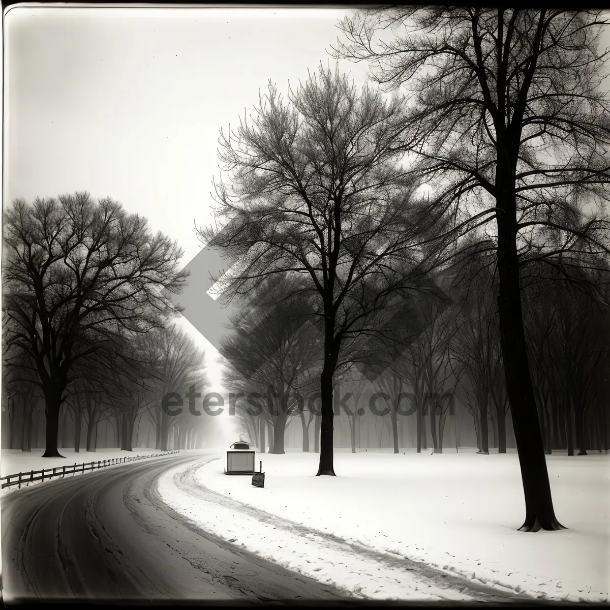 Picture of Winter Wonderland: Snow-Covered Forest Landscape