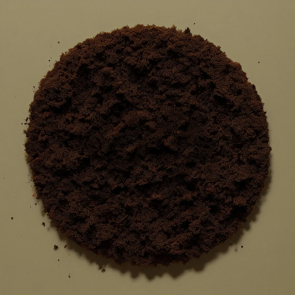 Picture of Sweet Dessert Plate with Chocolate and Sugar Powder