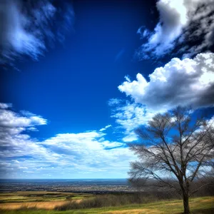 Vibrant Sunset Over Rural Meadow with Clouds and Trees