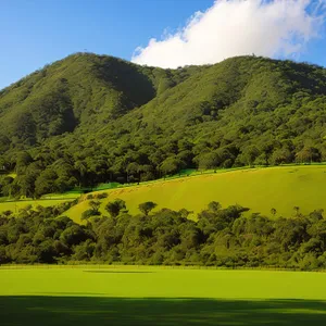 Highland Mountain Landscape with Rolling Hills