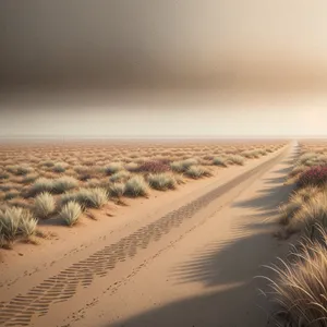 Sandy Beachscape at Sunset