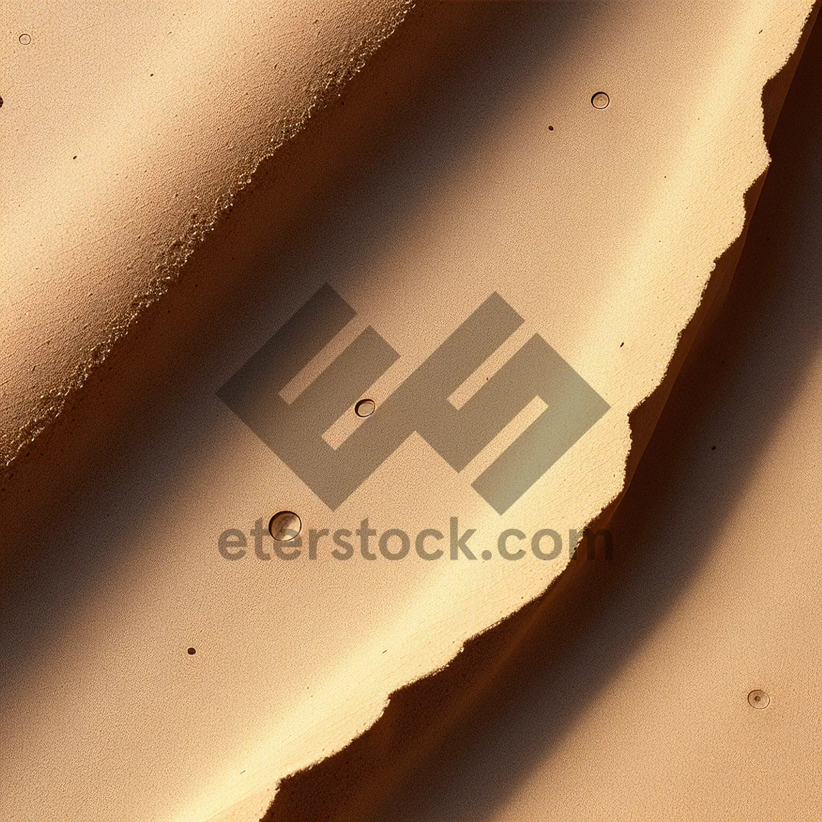 Picture of Ant crawling on textured grunge surface