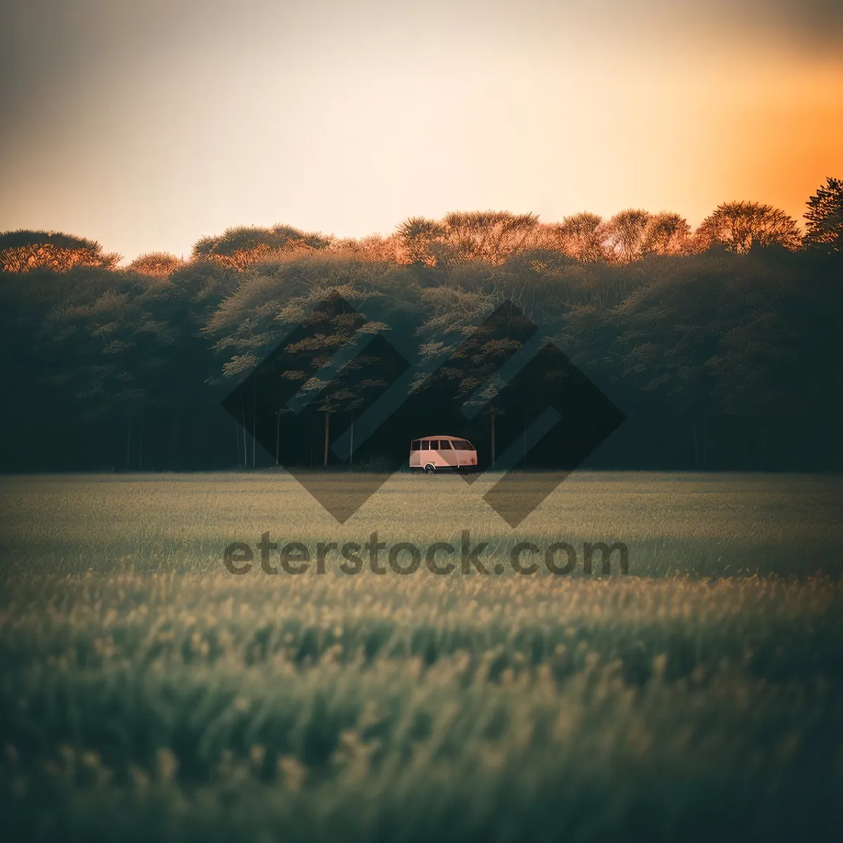 Picture of Sunny Fodder Field in Scenic Grassland