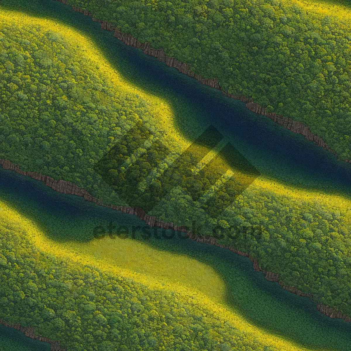 Picture of Fresh Zucchini Texture in a Summer Meadow
