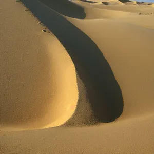 Travel support in sand dune car rest.