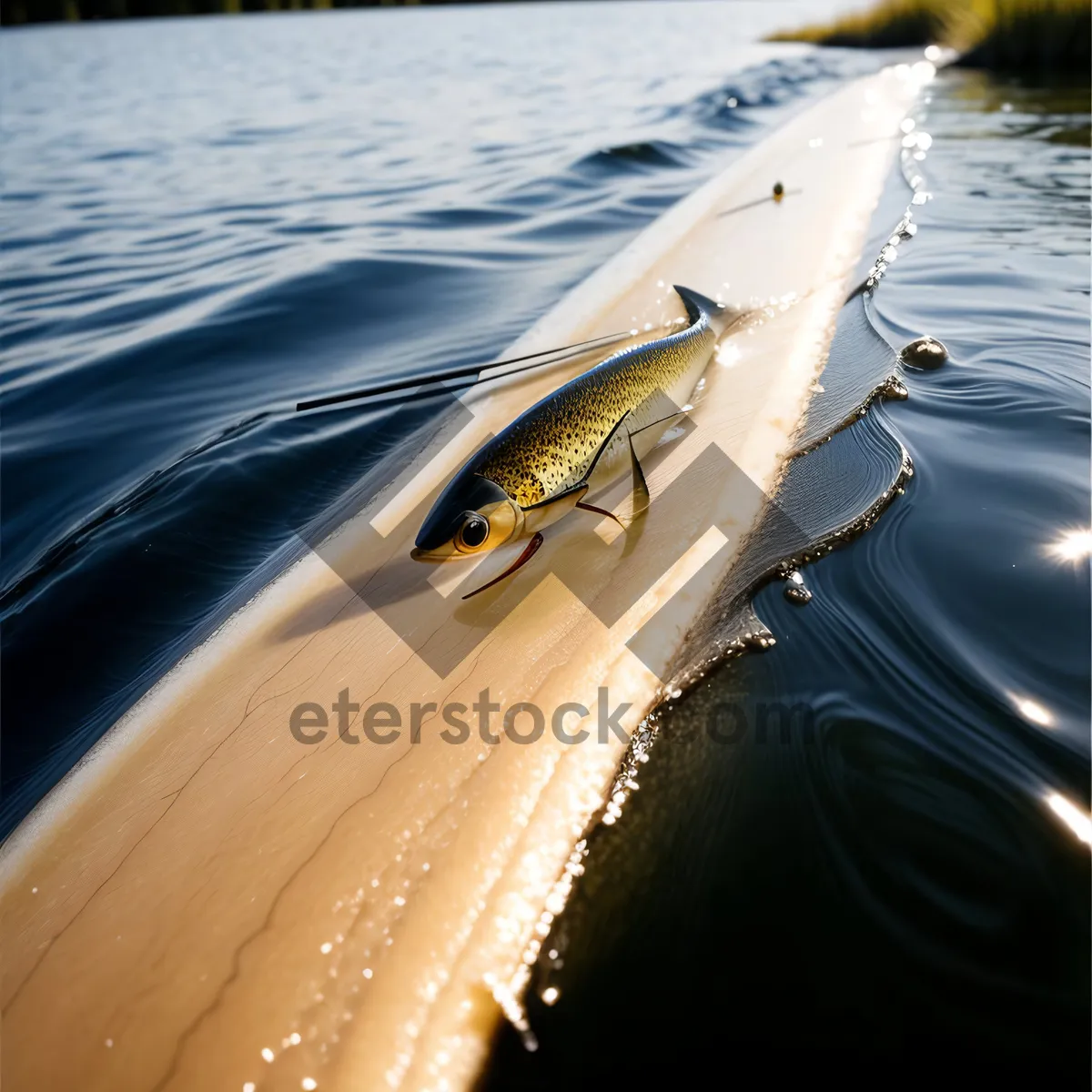 Picture of Serene Sunset Kayak Adventure on Ocean Waves