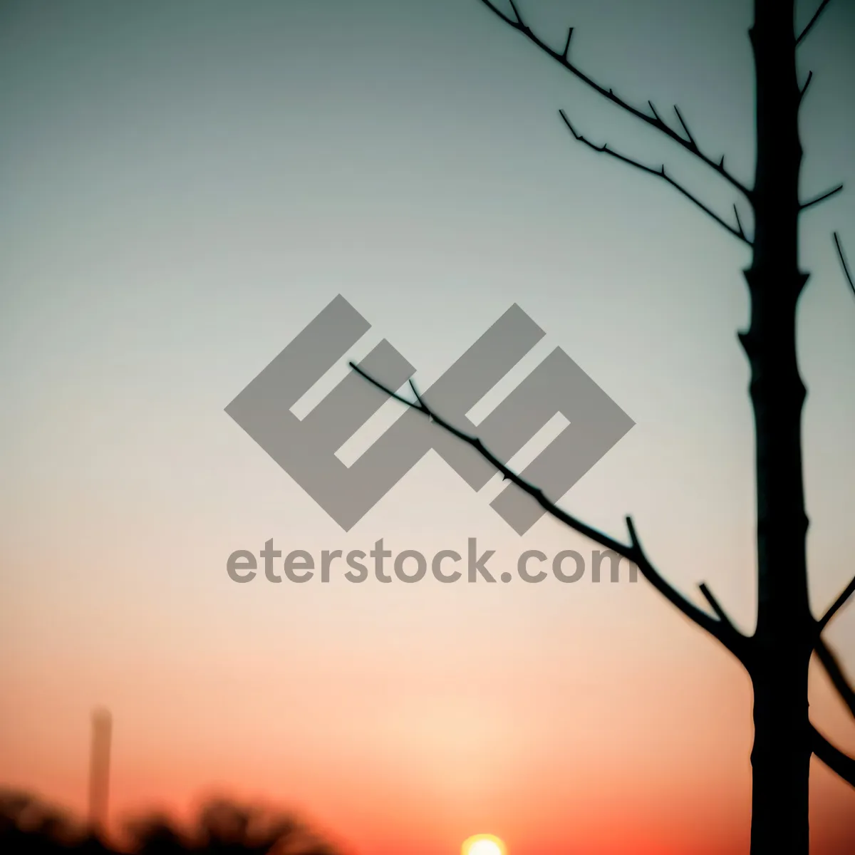 Picture of Sunset Silhouette: Majestic Tree Branch in Golden Sky