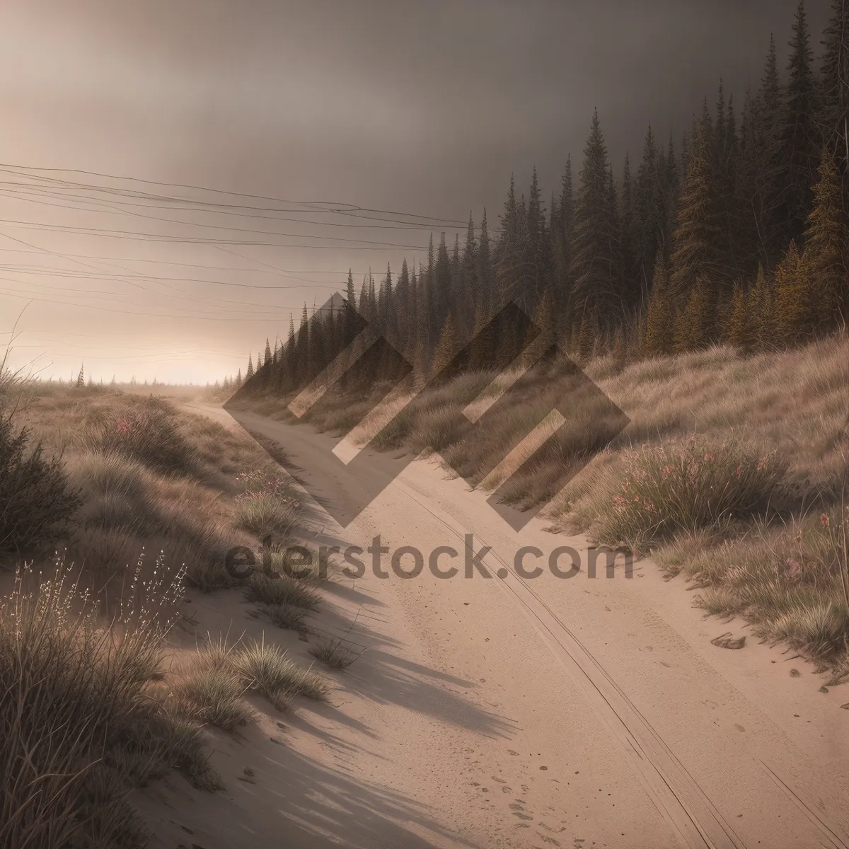 Picture of Winter Wonderland: Majestic Dune Landscape Surrounded by Snow-Covered Trees