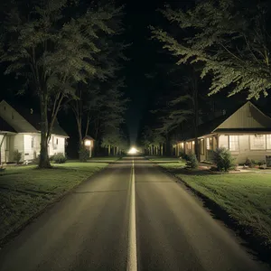 Serene Rural Skyline with Tree-lined Road