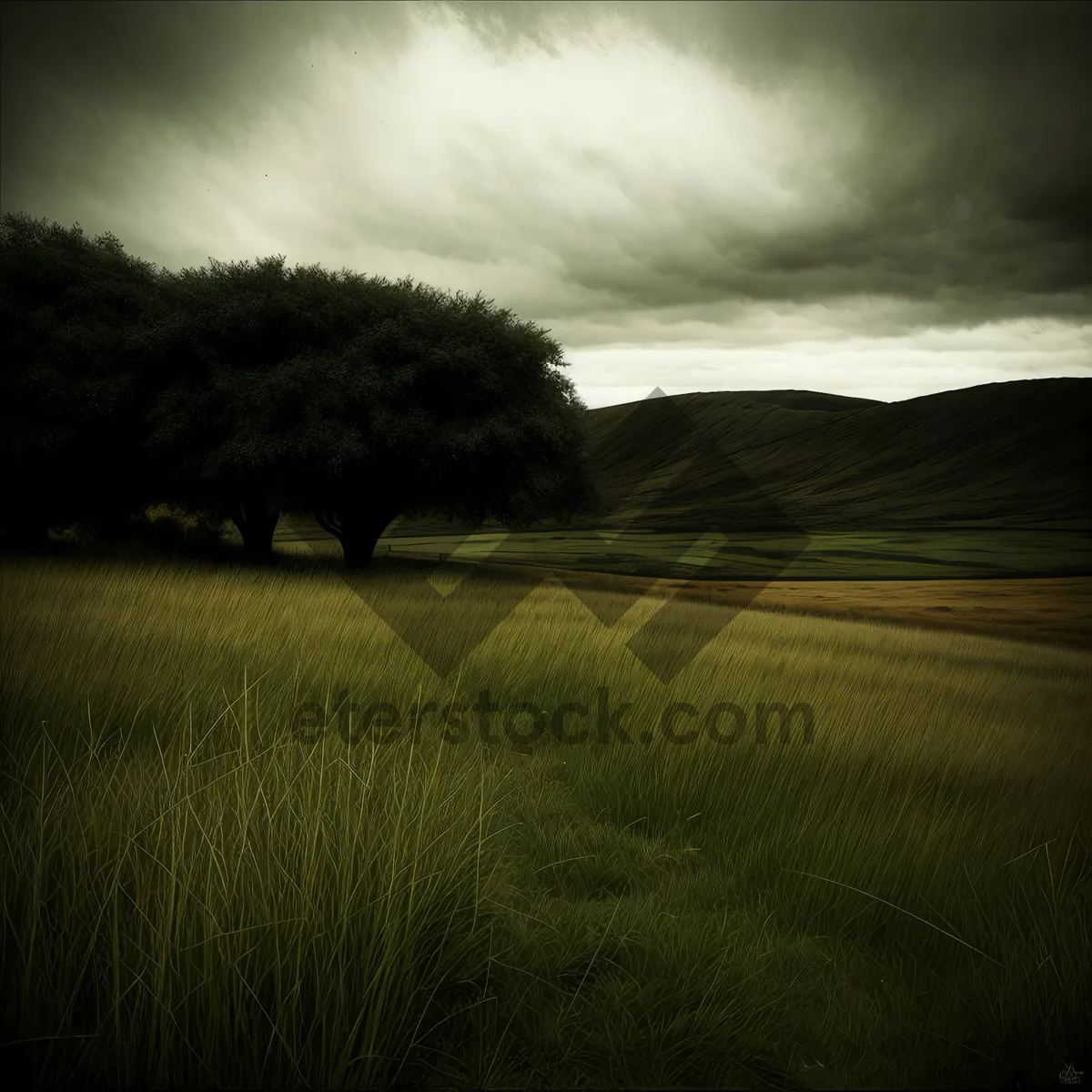 Picture of Rustic Summer Horizon: Rolling Fields under a Vibrant Sky