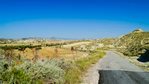 Summer Mountain Landscape in Rural Park