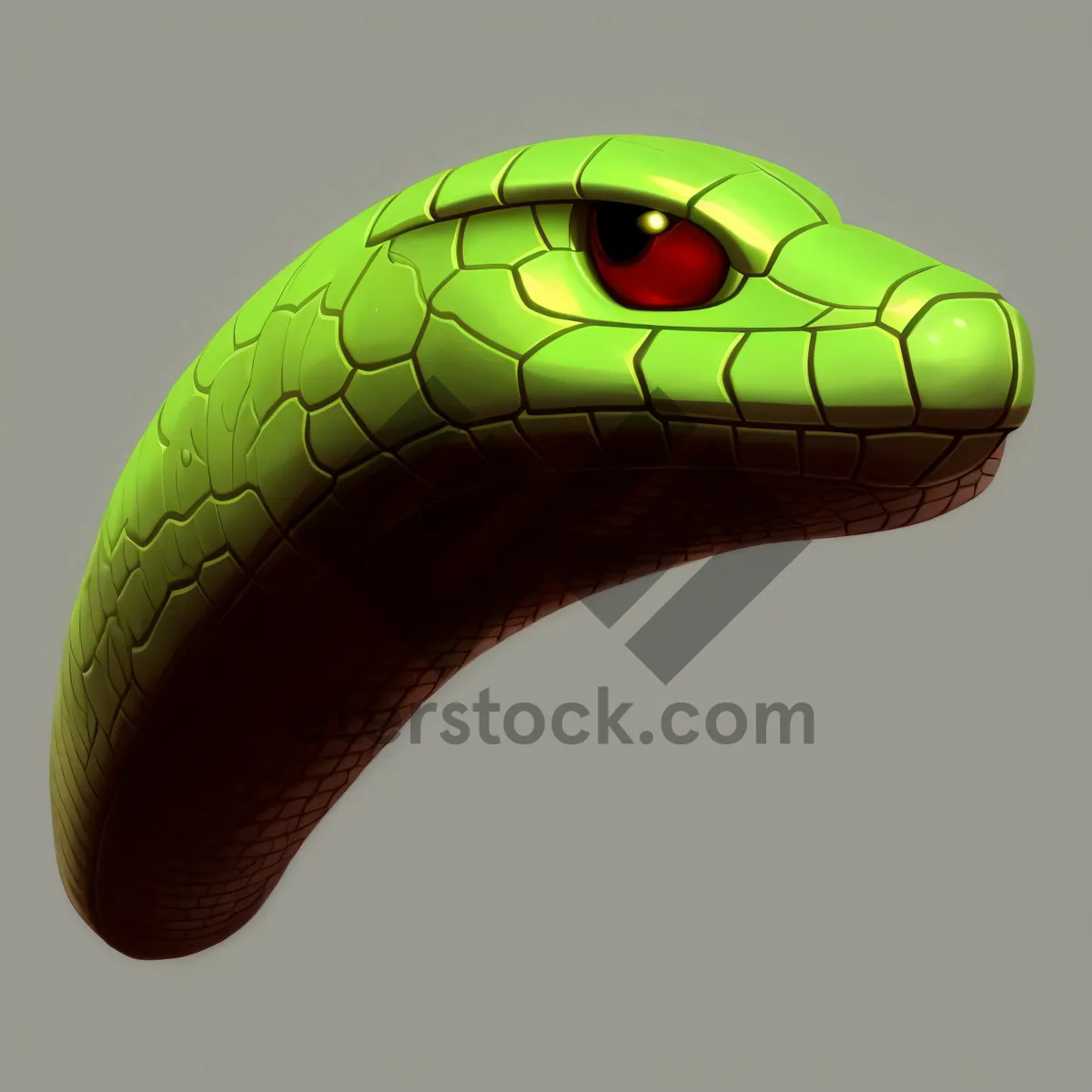 Picture of Dangerous Green and Black Mamba Snake Image.