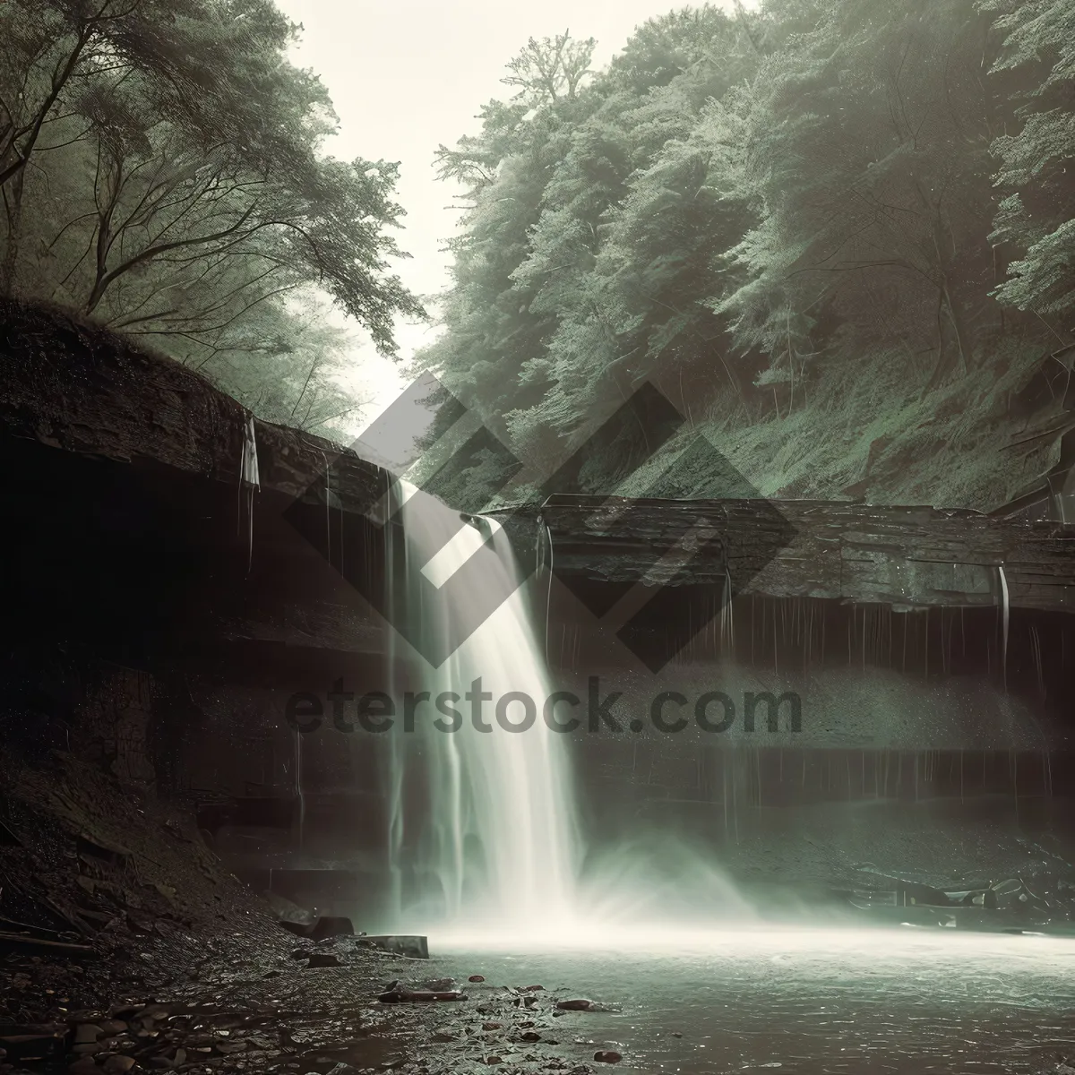 Picture of Serene Flowing Cascade in Nature's Oasis