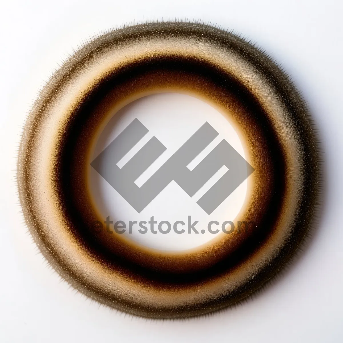Picture of Shiny Black Button Set - Web Design Restraint