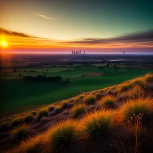 Vibrant Sunset over Rural Meadow