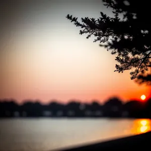 Serenity at Sunrise: Majestic Skyline and Vibrant Tree Silhouette