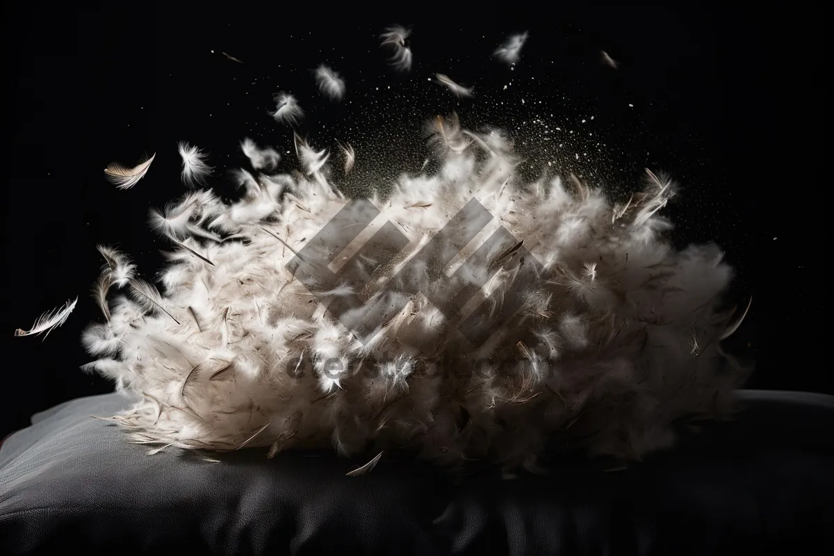 Picture of Black scarf with feather boa and cactus at night.