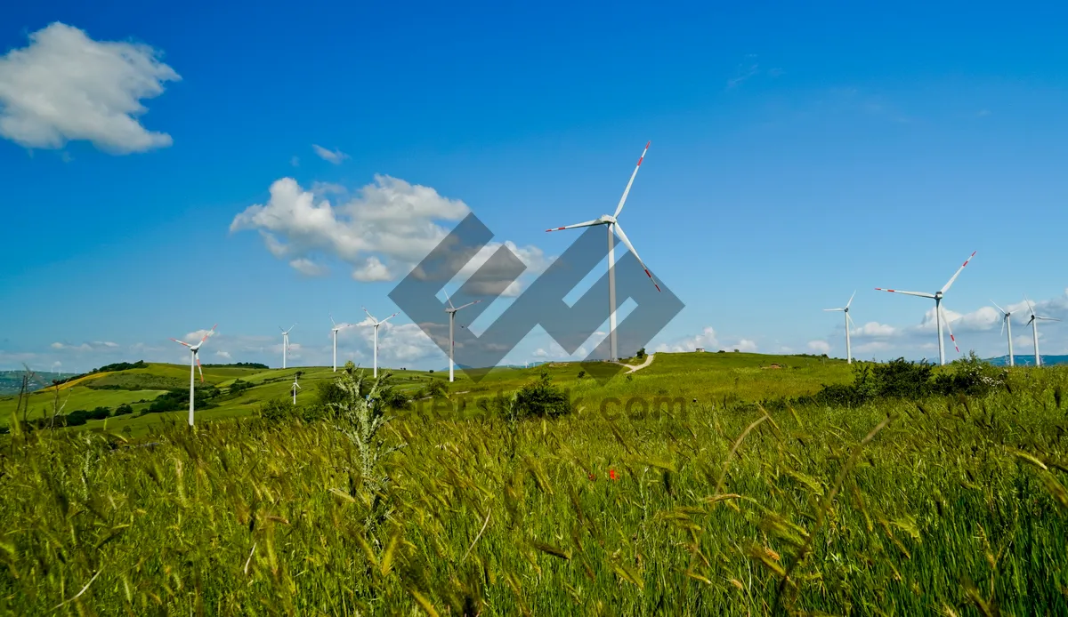 Picture of Renewable Energy Wind Turbine Landscape Sky Generator