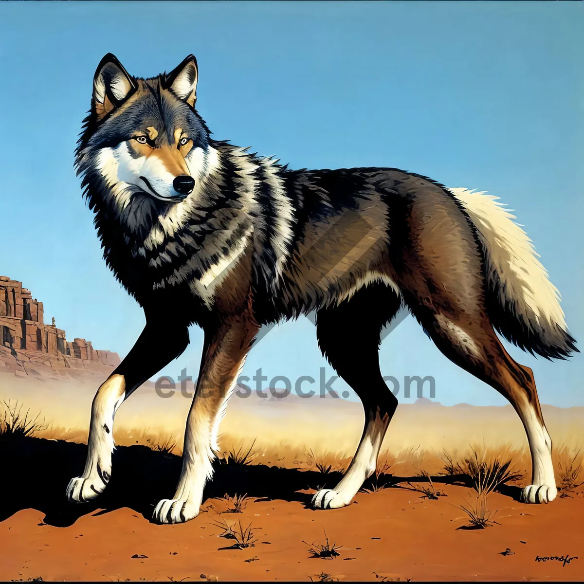 Picture of Timber Wolf Canine - Majestic and Mysterious