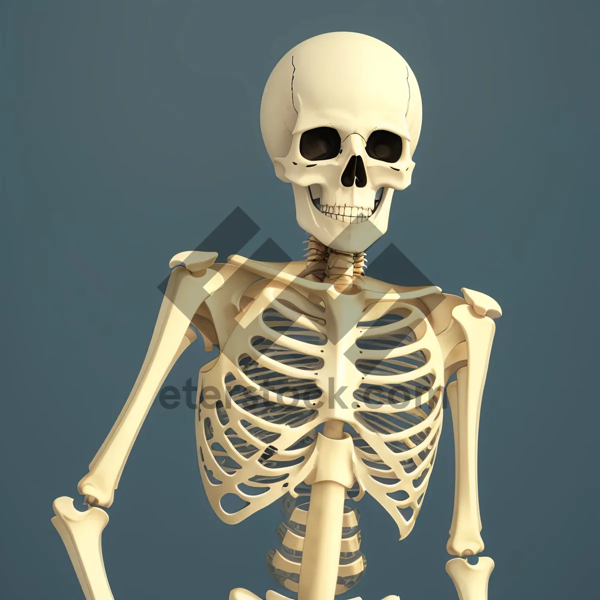 Picture of Terrifying 3D Skeleton Figure: An Eerie Anatomy Concept