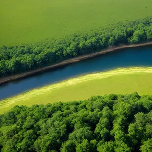 Serene Spectacle: Tranquil landscape with tea by the lake